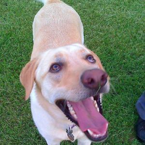 Meet your Posher, Shelly